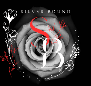 Silverbound game