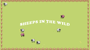 play Sheeps In The Wild