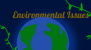 Environmental Issues game