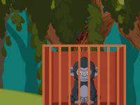 Baby Chimp Escape game