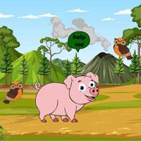 Pig Reach The Farm game