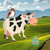Stop To Crying Mom Cow game
