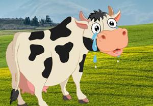 Stop To Crying Mom Cow game