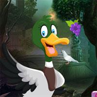 Games4King-Domestic-Duck-Escape game