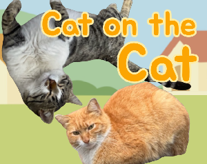 play Cat On The Cat