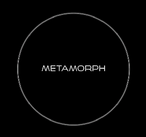 Metamorph game