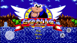 play Biel Taberner Sonic 2D 24-25