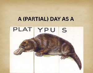A (Partial) Day As A Platypus game
