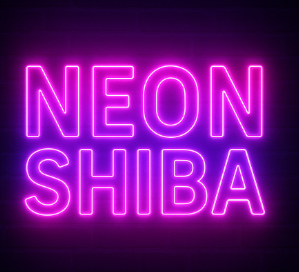 Neon Shiba game