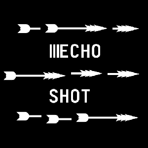play Echoshot