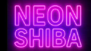 Neon Shiba game