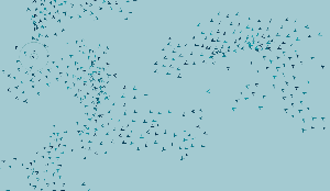 play Boids