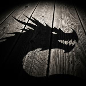 play Dragon Shadow