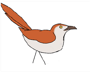 Bird Defeats Beevidia game