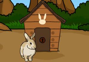 Release The Rabbit Family game