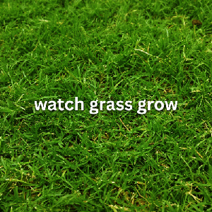 Watch Grass Grow game