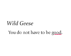 Wild Geese game