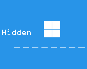 Hidden _ _ _ _ _ _ _ _ game